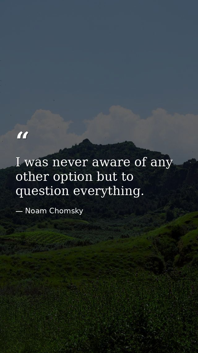I was never aware of any other option but to question everything. — Noam Chomsky