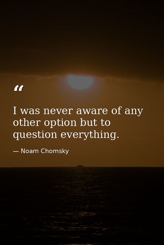 I was never aware of any other option but to question everything. — Noam Chomsky