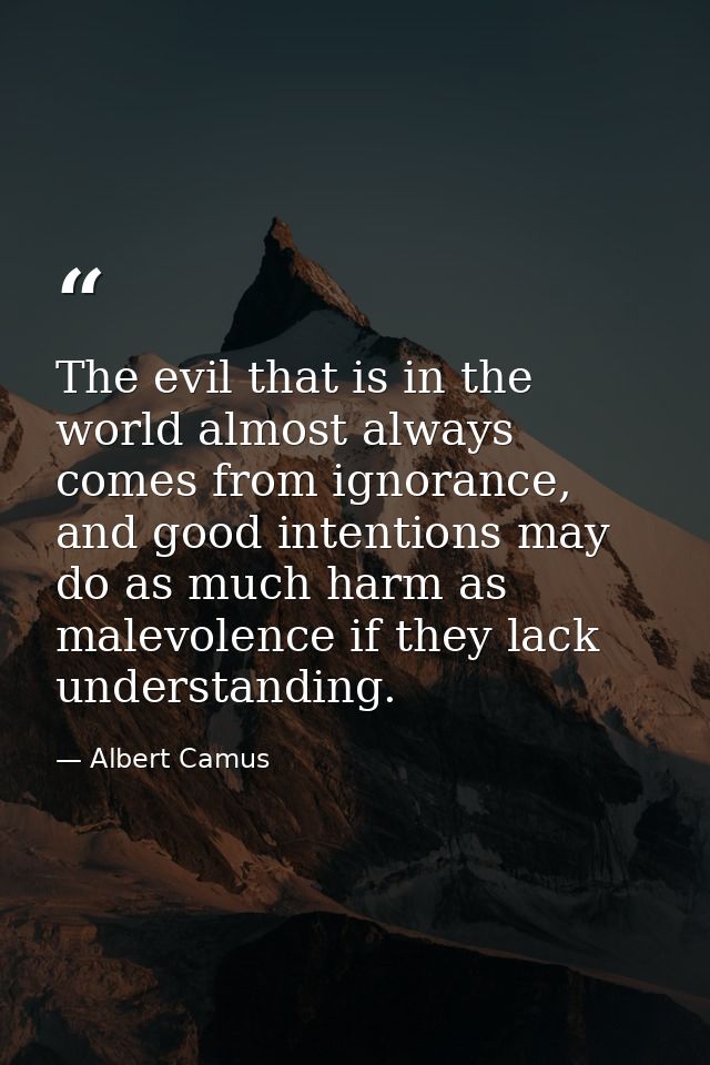 The evil that is in the world almost always comes from ignorance, and good intentions may do as much harm as malevolence — Albert Camus