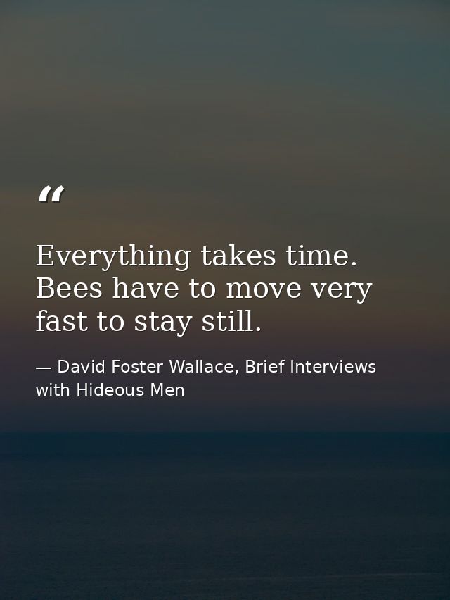 Everything takes time. Bees have to move very fast to stay still. — David Foster Wallace, Brief Interviews with Hideous Men