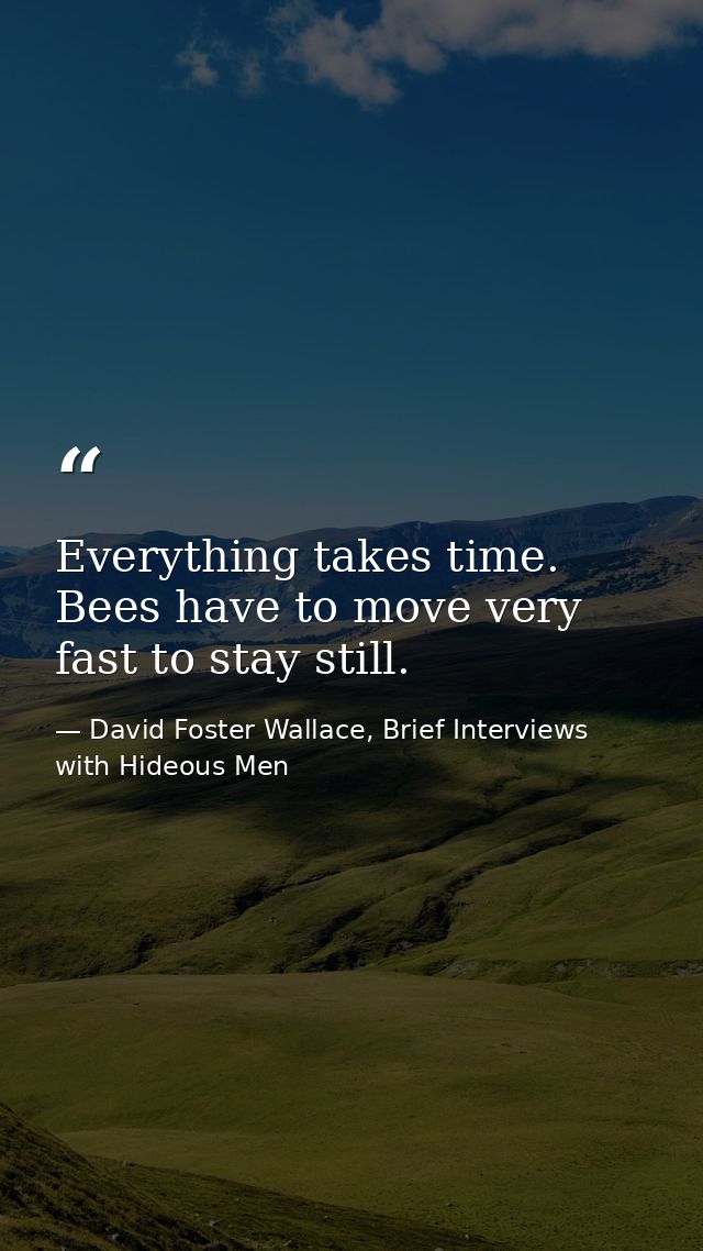 Everything takes time. Bees have to move very fast to stay still. — David Foster Wallace, Brief Interviews with Hideous Men