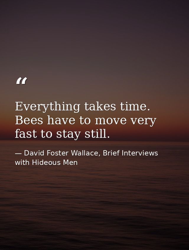 Everything takes time. Bees have to move very fast to stay still. — David Foster Wallace, Brief Interviews with Hideous Men