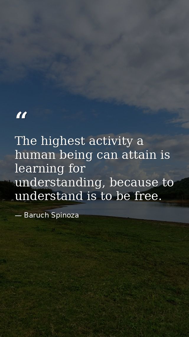 The highest activity a human being can attain is learning for understanding, because to understand is to be free. — Baruch Spinoza