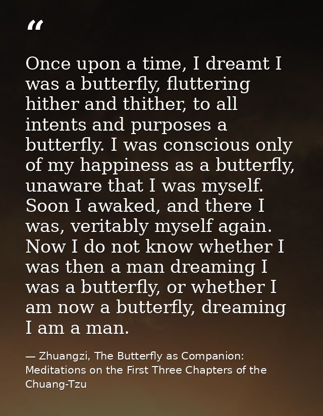 Once upon a time, I dreamt I was a butterfly, fluttering hither and thither, to all intents and purposes a butterfly. I  — Zhuangzi, The Butterfly as Companion: Meditations on the First Three Chapters of the Chuang-Tzu
