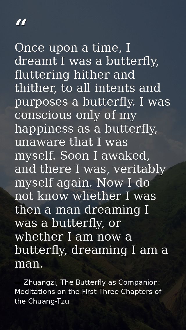 Once upon a time, I dreamt I was a butterfly, fluttering hither and thither, to all intents and purposes a butterfly. I  — Zhuangzi, The Butterfly as Companion: Meditations on the First Three Chapters of the Chuang-Tzu