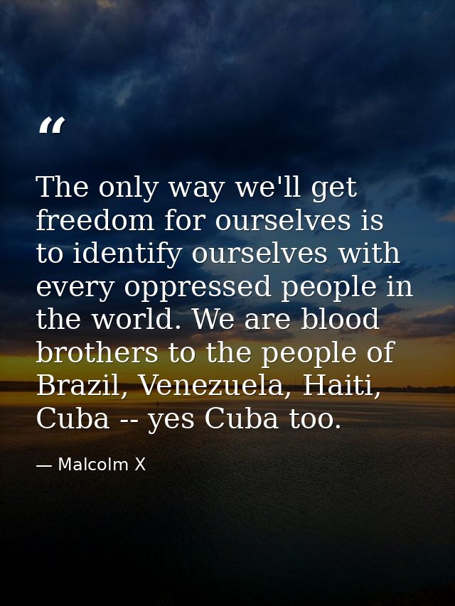 The only way we'll get freedom for ourselves is to identify ourselves with every oppressed people in the world. We are b — Malcolm X