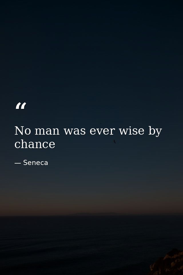 No man was ever wise by chance — Seneca