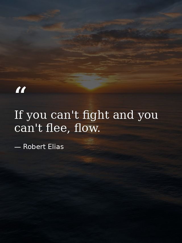 If you can't fight and you can't flee, flow. — Robert Elias