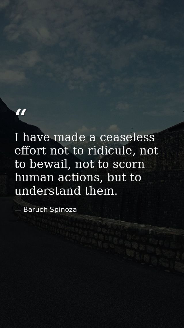 I have made a ceaseless effort not to ridicule, not to bewail, not to scorn human actions, but to understand them. — Baruch Spinoza