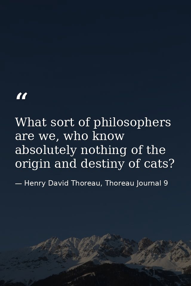 What sort of philosophers are we, who know absolutely nothing of the origin and destiny of cats? — Henry David Thoreau, Thoreau Journal 9