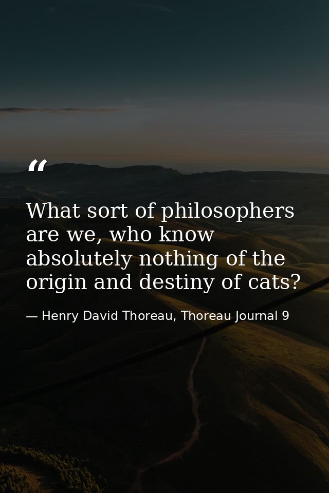 What sort of philosophers are we, who know absolutely nothing of the origin and destiny of cats? — Henry David Thoreau, Thoreau Journal 9