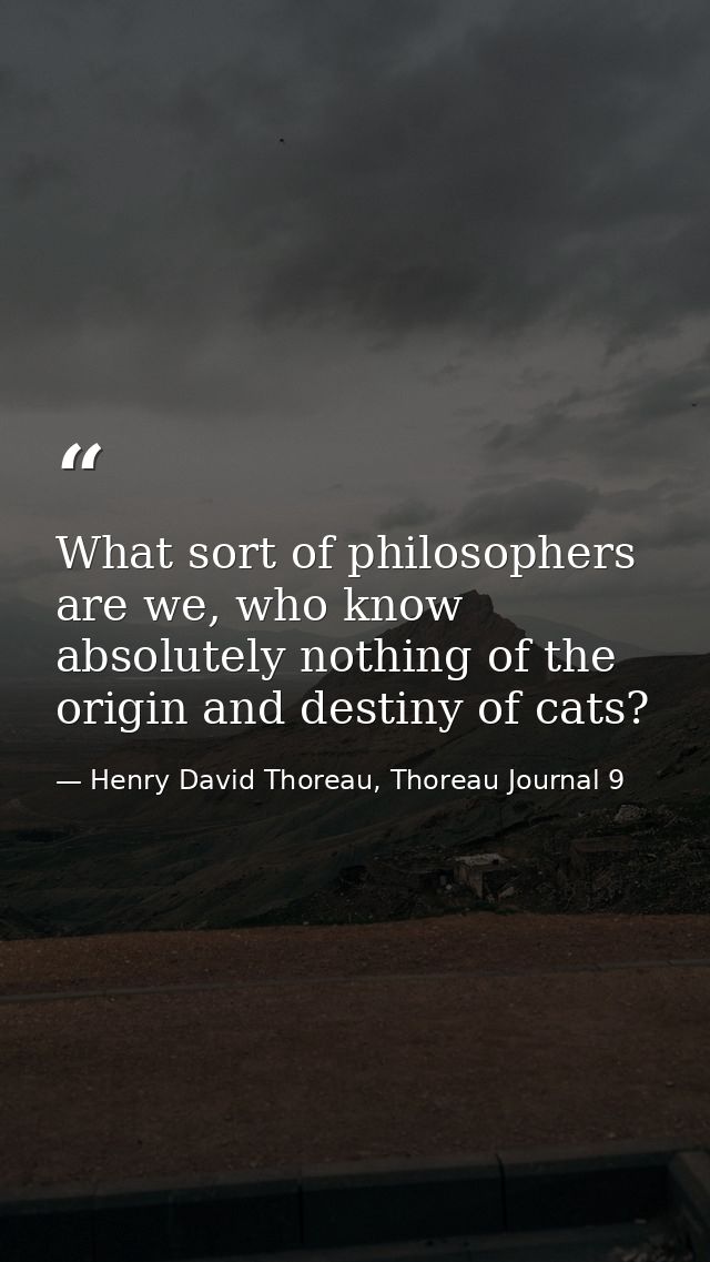 What sort of philosophers are we, who know absolutely nothing of the origin and destiny of cats? — Henry David Thoreau, Thoreau Journal 9
