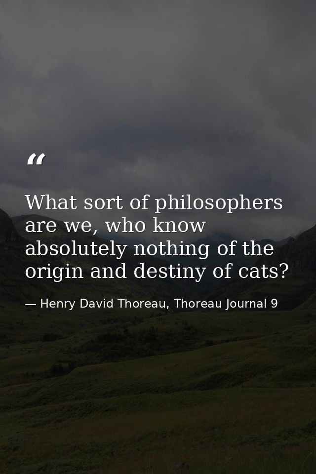 What sort of philosophers are we, who know absolutely nothing of the origin and destiny of cats? — Henry David Thoreau, Thoreau Journal 9
