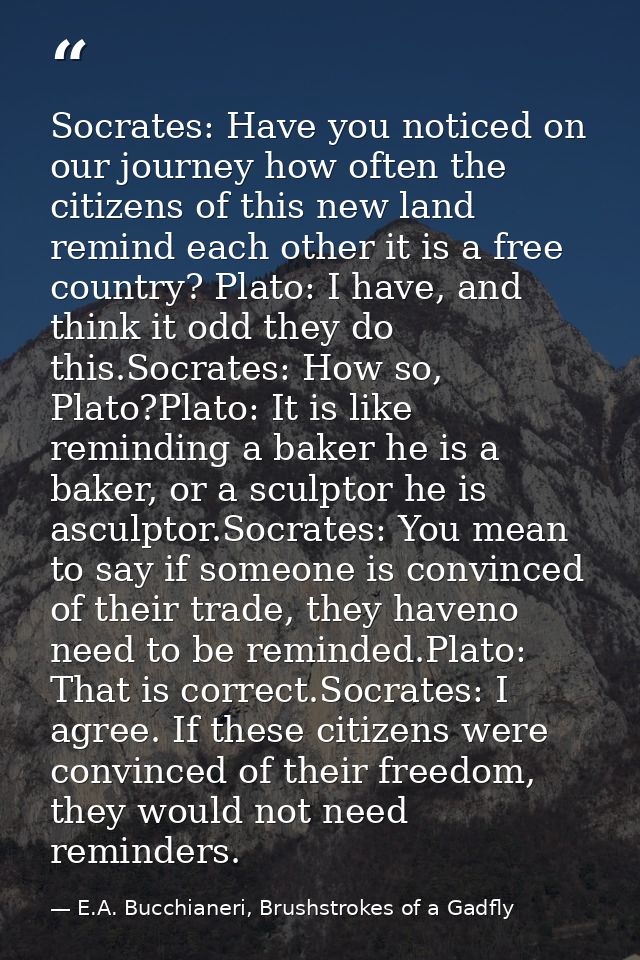 Socrates: Have you noticed on our journey how often the citizens of this new land remind each other it is a free country — E.A. Bucchianeri, Brushstrokes of a Gadfly