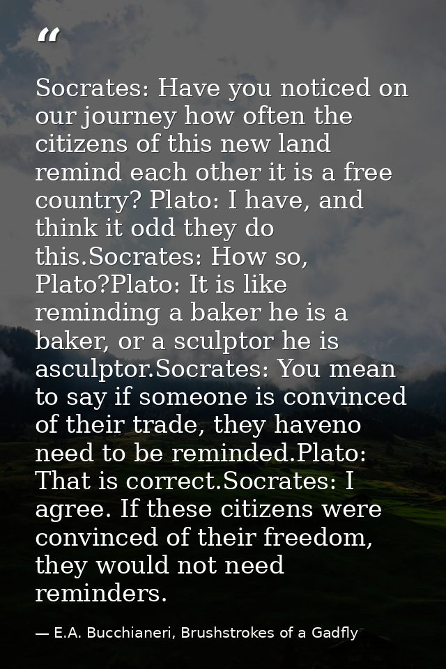 Socrates: Have you noticed on our journey how often the citizens of this new land remind each other it is a free country — E.A. Bucchianeri, Brushstrokes of a Gadfly