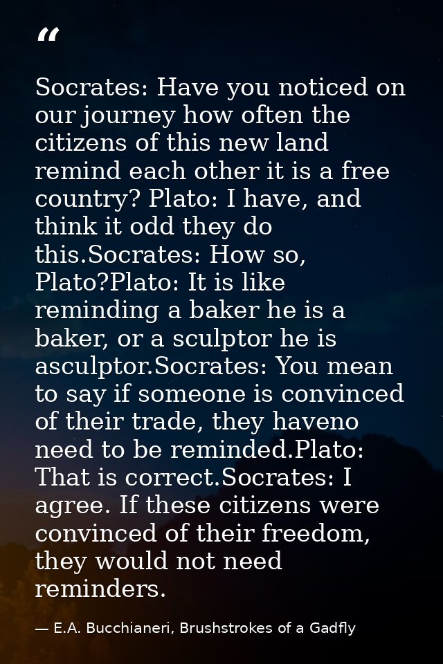 Socrates: Have you noticed on our journey how often the citizens of this new land remind each other it is a free country — E.A. Bucchianeri, Brushstrokes of a Gadfly