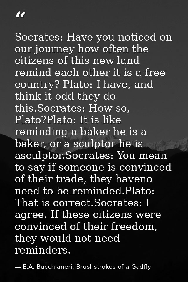 Socrates: Have you noticed on our journey how often the citizens of this new land remind each other it is a free country — E.A. Bucchianeri, Brushstrokes of a Gadfly