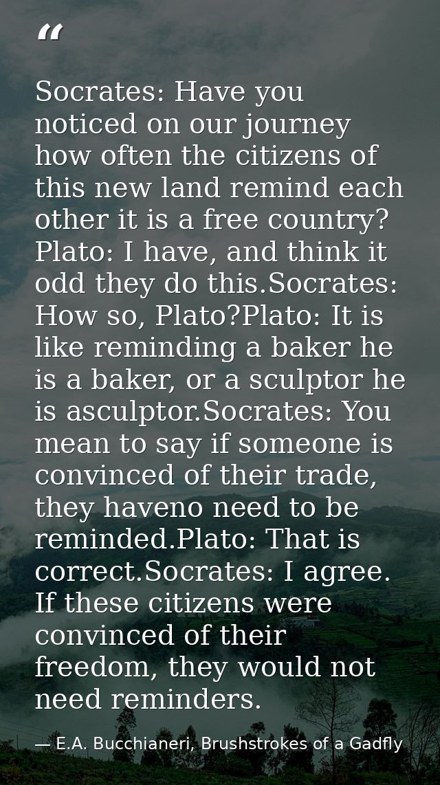 Socrates: Have you noticed on our journey how often the citizens of this new land remind each other it is a free country — E.A. Bucchianeri, Brushstrokes of a Gadfly