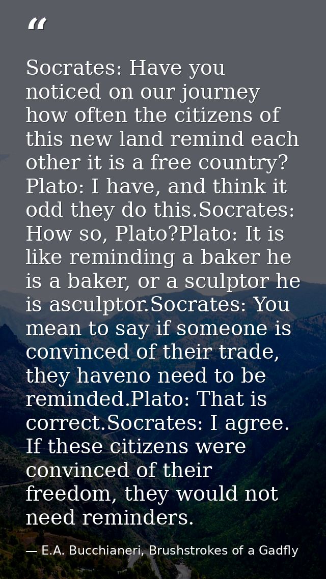 Socrates: Have you noticed on our journey how often the citizens of this new land remind each other it is a free country — E.A. Bucchianeri, Brushstrokes of a Gadfly