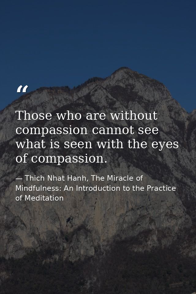 Those who are without compassion cannot see what is seen with the eyes of compassion. — Thich Nhat Hanh, The Miracle of Mindfulness: An Introduction to the Practice of Meditation