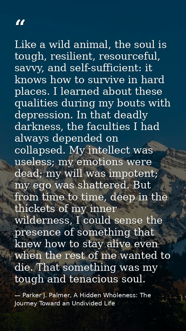 Like a wild animal, the soul is tough, resilient, resourceful, savvy, and self-sufficient: it knows how to survive in ha — Parker J. Palmer, A Hidden Wholeness: The Journey Toward an Undivided Life