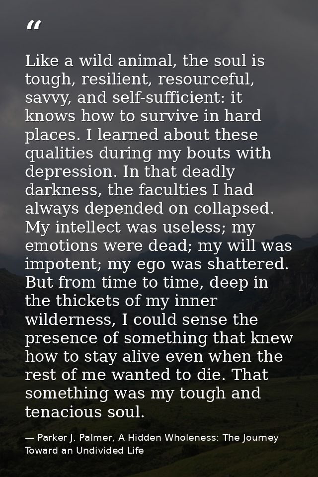 Like a wild animal, the soul is tough, resilient, resourceful, savvy, and self-sufficient: it knows how to survive in ha — Parker J. Palmer, A Hidden Wholeness: The Journey Toward an Undivided Life
