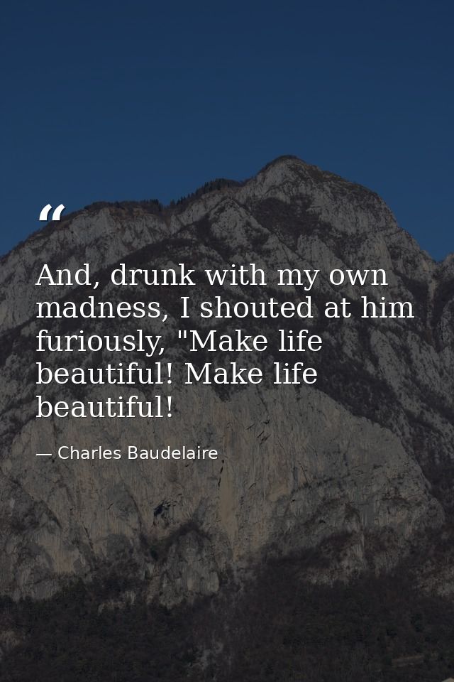 And, drunk with my own madness, I shouted at him furiously, "Make life beautiful! Make life beautiful! — Charles Baudelaire
