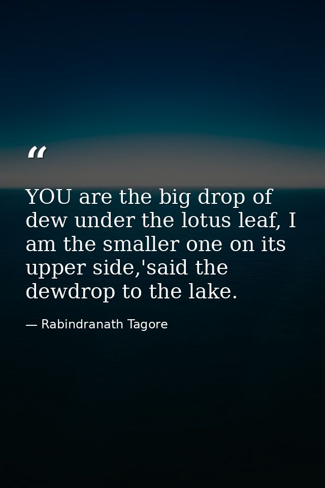 YOU are the big drop of dew under the lotus leaf, I am the smaller one on its upper side,'said the dewdrop to the lake. — Rabindranath Tagore