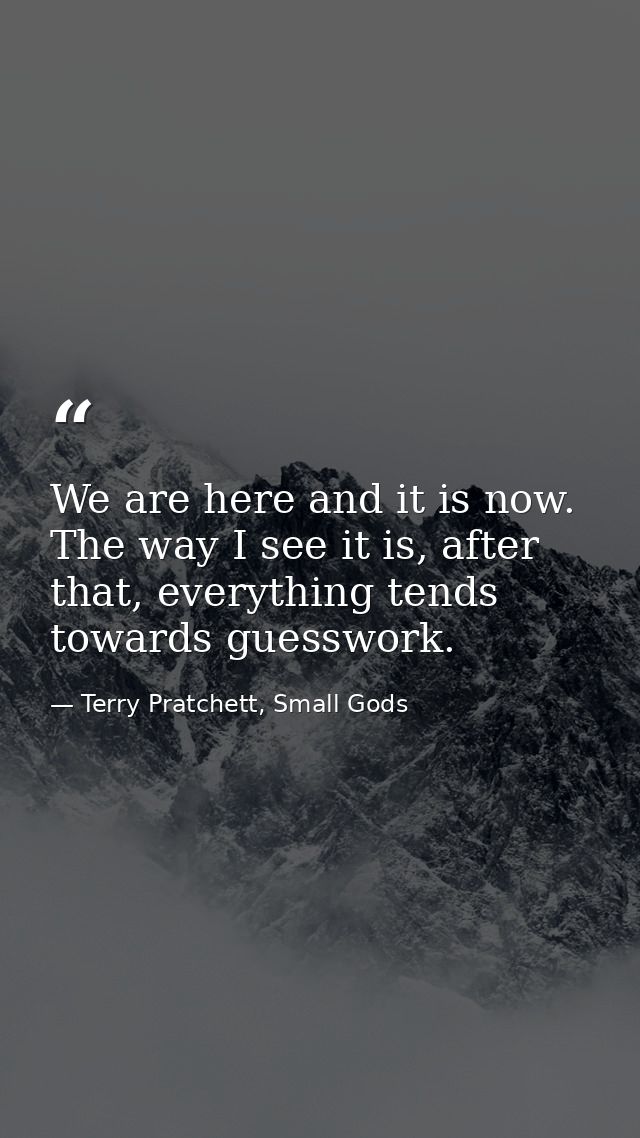 We are here and it is now. The way I see it is, after that, everything tends towards guesswork. — Terry Pratchett, Small Gods