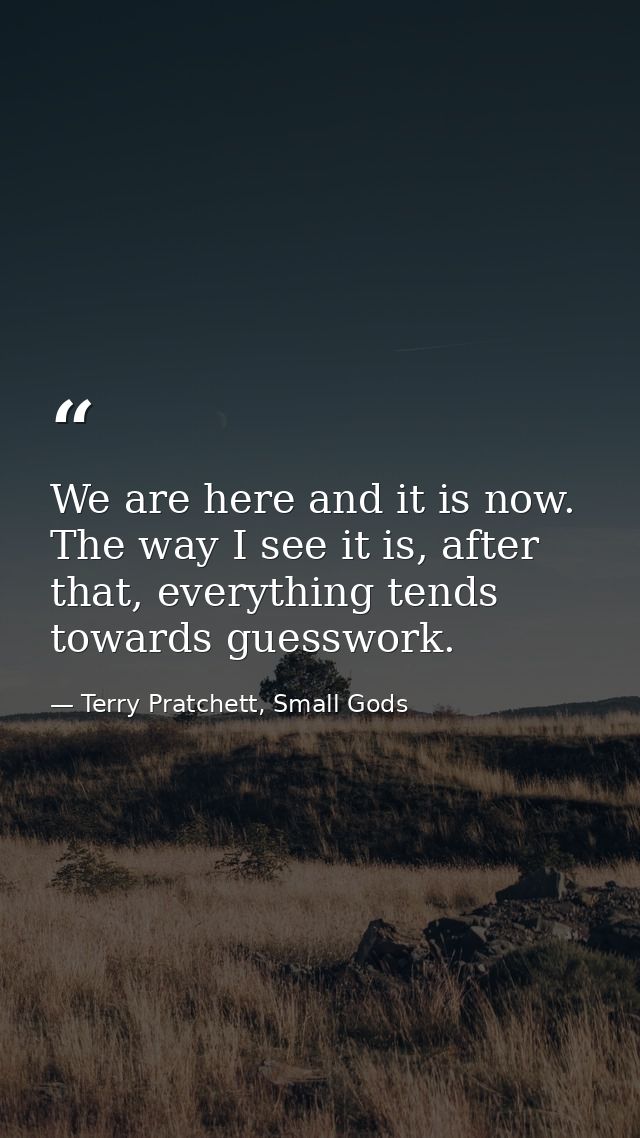 We are here and it is now. The way I see it is, after that, everything tends towards guesswork. — Terry Pratchett, Small Gods