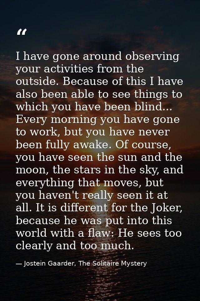 I have gone around observing your activities from the outside. Because of this I have also been able to see things to wh — Jostein Gaarder, The Solitaire Mystery