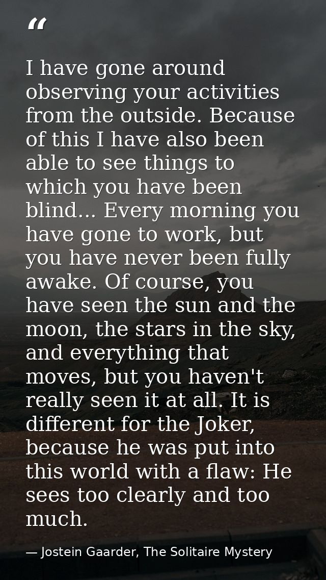 I have gone around observing your activities from the outside. Because of this I have also been able to see things to wh — Jostein Gaarder, The Solitaire Mystery