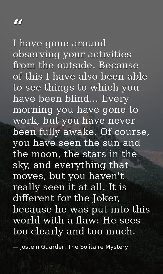 I have gone around observing your activities from the outside. Because of this I have also been able to see things to wh — Jostein Gaarder, The Solitaire Mystery