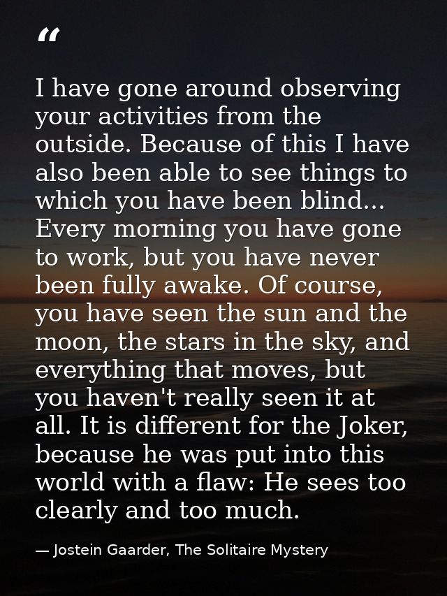 I have gone around observing your activities from the outside. Because of this I have also been able to see things to wh — Jostein Gaarder, The Solitaire Mystery