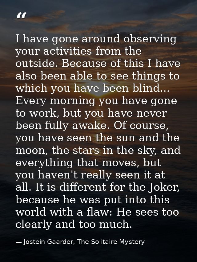 I have gone around observing your activities from the outside. Because of this I have also been able to see things to wh — Jostein Gaarder, The Solitaire Mystery