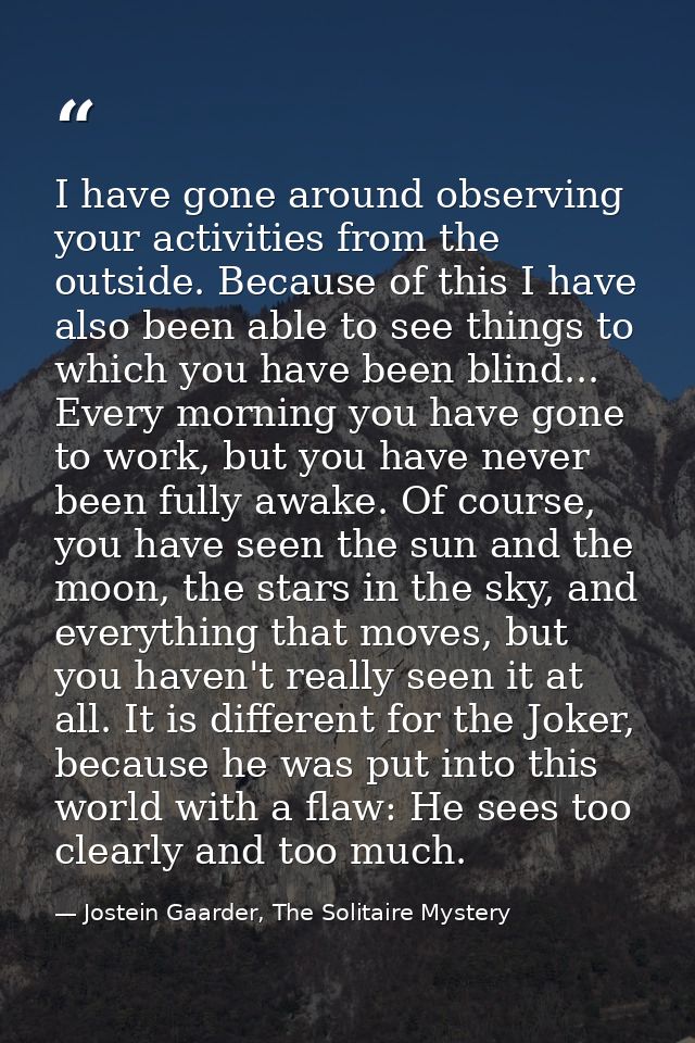 I have gone around observing your activities from the outside. Because of this I have also been able to see things to wh — Jostein Gaarder, The Solitaire Mystery
