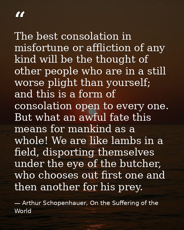 The best consolation in misfortune or affliction of any kind will be the thought of other people who are in a still wors — Arthur Schopenhauer, On the Suffering of the World