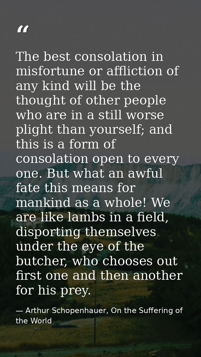 The best consolation in misfortune or affliction of any kind will be the thought of other people who are in a still wors — Arthur Schopenhauer, On the Suffering of the World