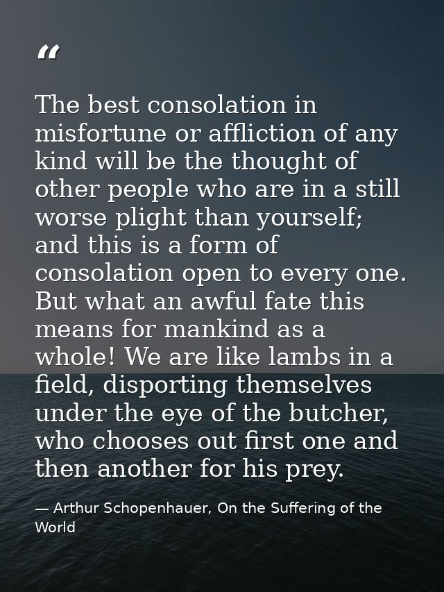 The best consolation in misfortune or affliction of any kind will be the thought of other people who are in a still wors — Arthur Schopenhauer, On the Suffering of the World