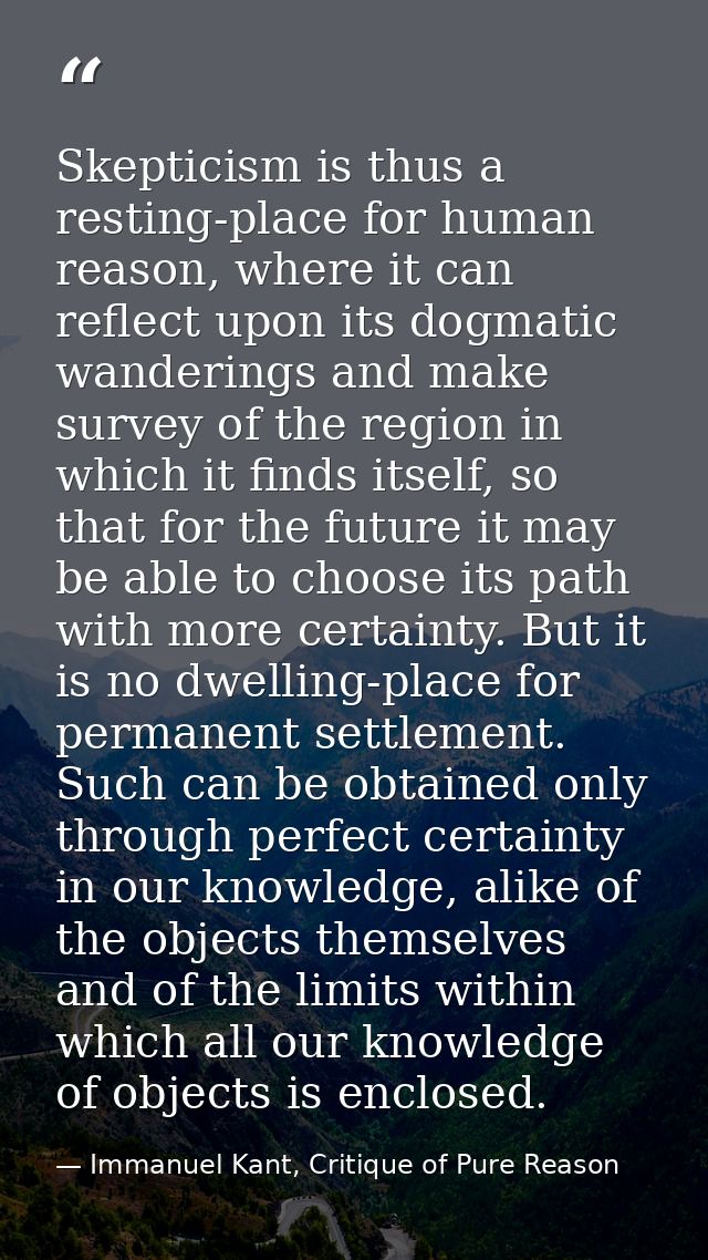 Skepticism is thus a resting-place for human reason, where it can reflect upon its dogmatic wanderings and make survey o — Immanuel Kant, Critique of Pure Reason