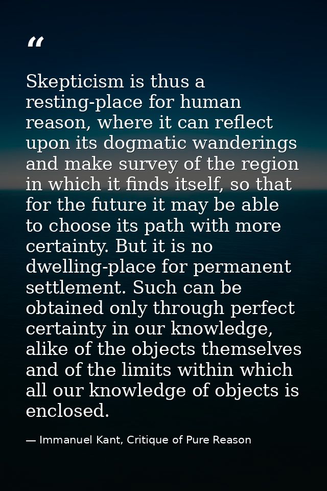 Skepticism is thus a resting-place for human reason, where it can reflect upon its dogmatic wanderings and make survey o — Immanuel Kant, Critique of Pure Reason