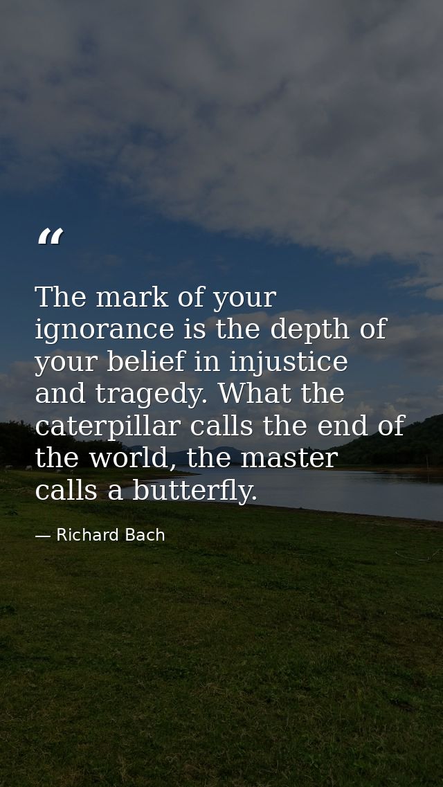 The mark of your ignorance is the depth of your belief in injustice and tragedy. What the caterpillar calls the end of t — Richard Bach