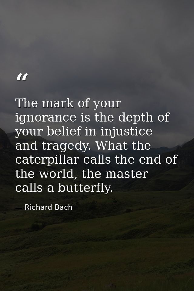 The mark of your ignorance is the depth of your belief in injustice and tragedy. What the caterpillar calls the end of t — Richard Bach