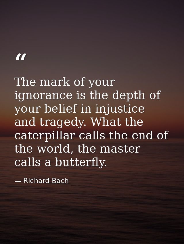 The mark of your ignorance is the depth of your belief in injustice and tragedy. What the caterpillar calls the end of t — Richard Bach