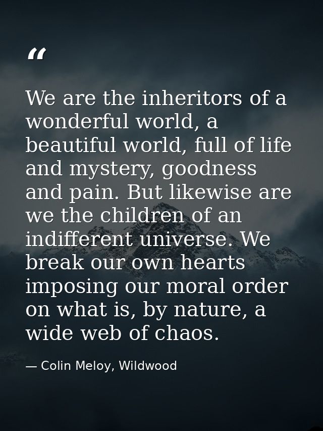 We are the inheritors of a wonderful world, a beautiful world, full of life and mystery, goodness and pain. But likewise — Colin Meloy, Wildwood