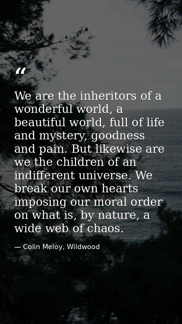 We are the inheritors of a wonderful world, a beautiful world, full of life and mystery, goodness and pain. But likewise — Colin Meloy, Wildwood