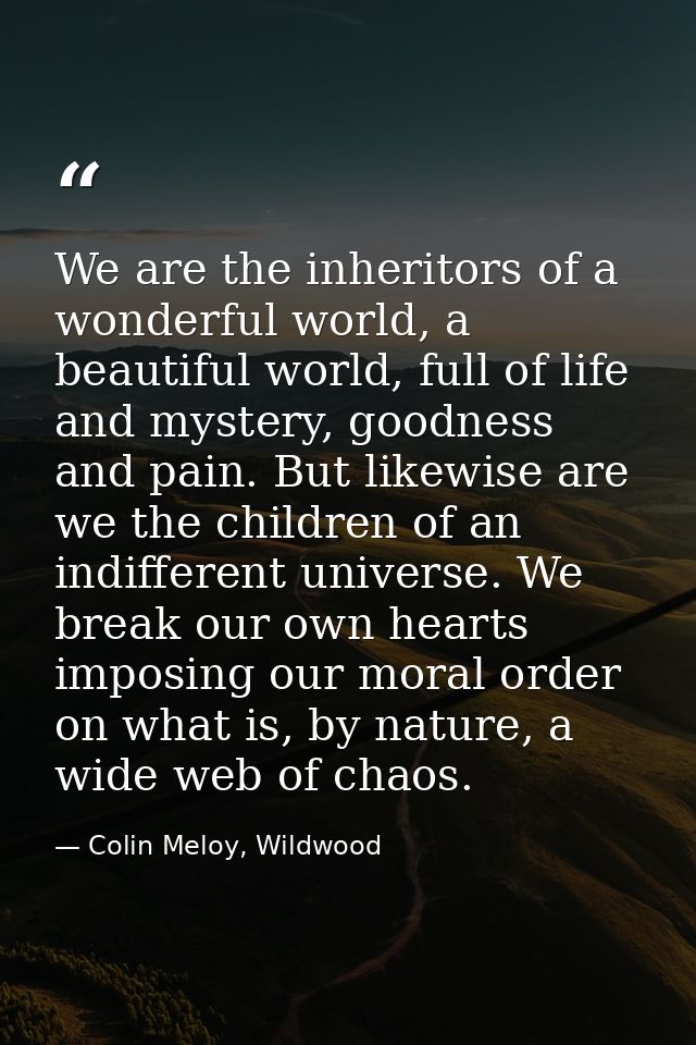 We are the inheritors of a wonderful world, a beautiful world, full of life and mystery, goodness and pain. But likewise — Colin Meloy, Wildwood