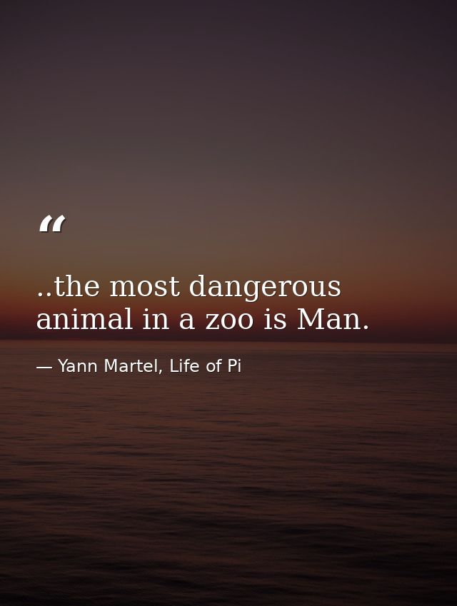 ..the most dangerous animal in a zoo is Man. — Yann Martel, Life of Pi
