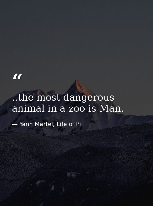 ..the most dangerous animal in a zoo is Man. — Yann Martel, Life of Pi
