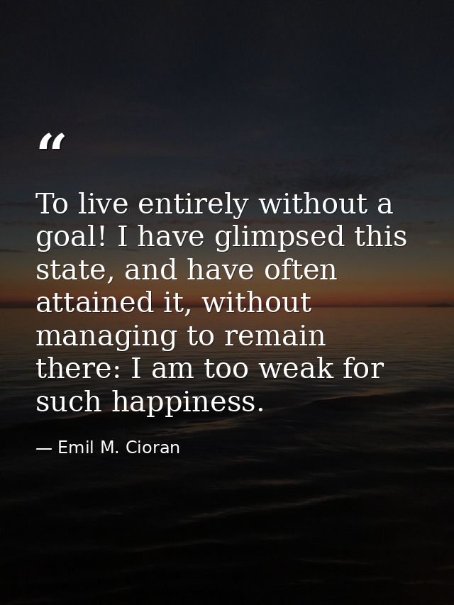 To live entirely without a goal! I have glimpsed this state, and have often attained it, without managing to remain ther — Emil M. Cioran